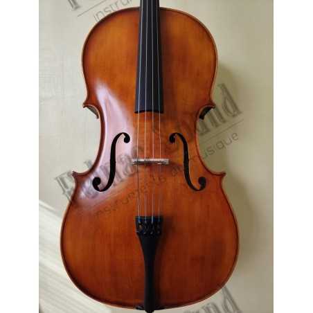 cello Hora prof