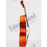Stradivarius 4/4 violoncelle Hora Advanced - réglage