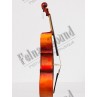 Stradivarius 4/4 violoncelle Hora student - réglage