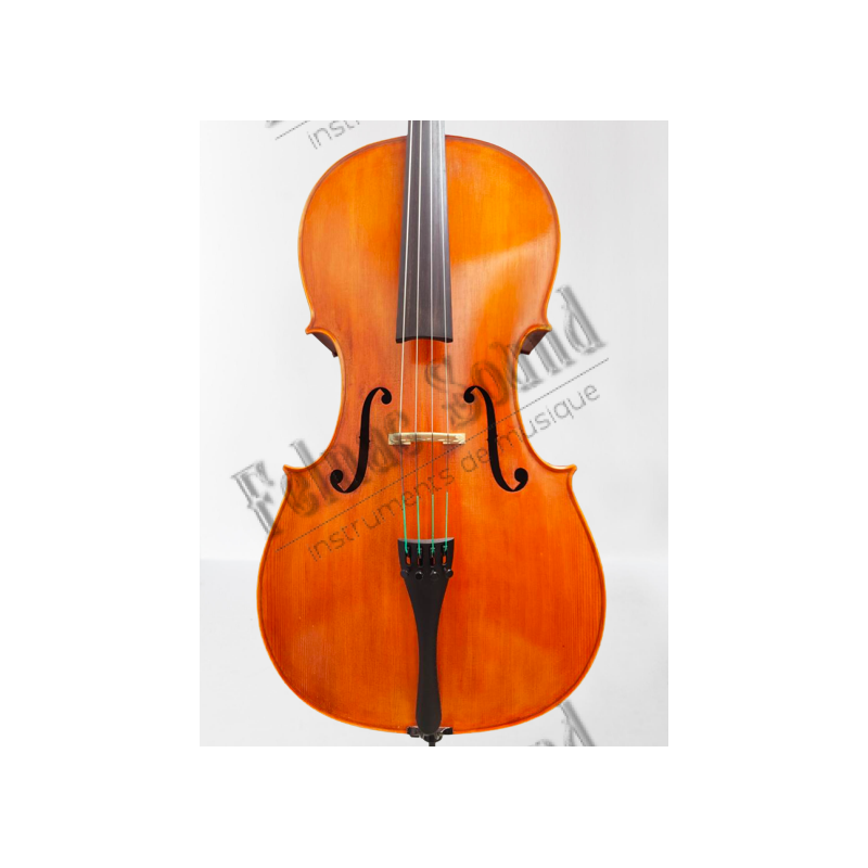 Violoncelle 4/4 Stradivarius moucheté -