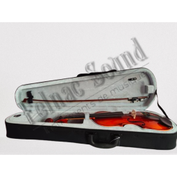 Violon Set 4/4 - boutique