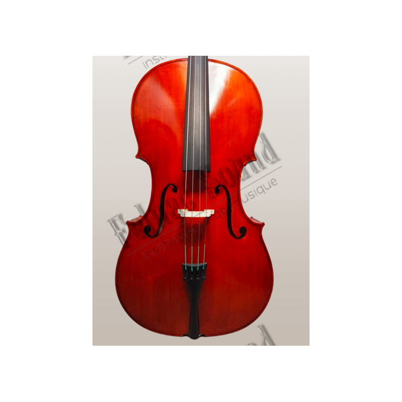 violoncelle 4/4 clés Wittner